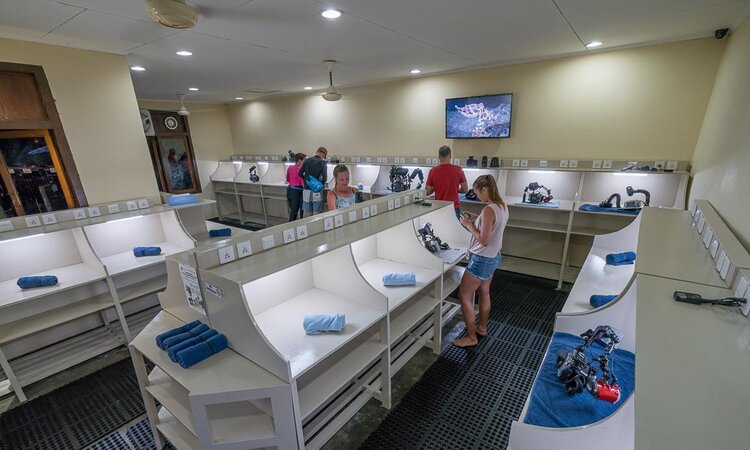 Lembeh Resort Camera Room - Sulawesi, Lembeh Straits