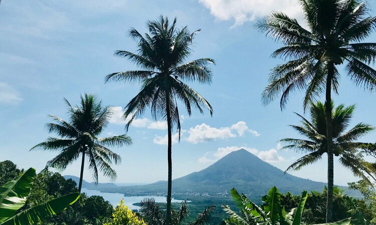 Molukken, Halmahera: Ausblick auf Gunung Gamkonora von Palmenhain