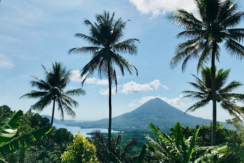 Molukken Gewürzinsel Halmahera: Palmenpanorama mit Gunung Gamkonora
