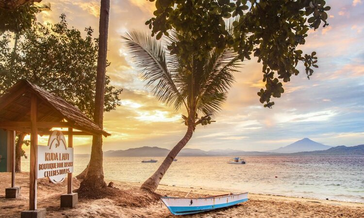 Beach View: Kuda Laut Resort, Siladen, North Sulawesi