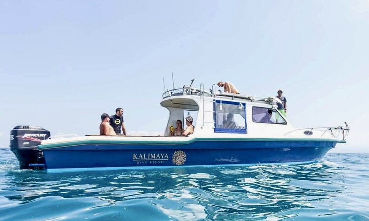 Diving boat on departure: Kalimaya Dive Resort Sumbawa, Lesser Sunda Islands/Indonesia