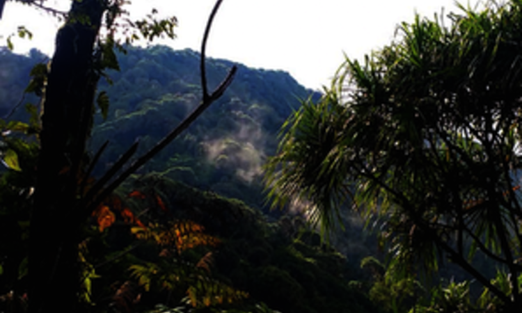 Sulawesi: Dschungelausblick Gunung Tatawiran