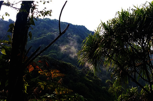 Sulawesi: Dschungelausblick Gunung Tatawiran