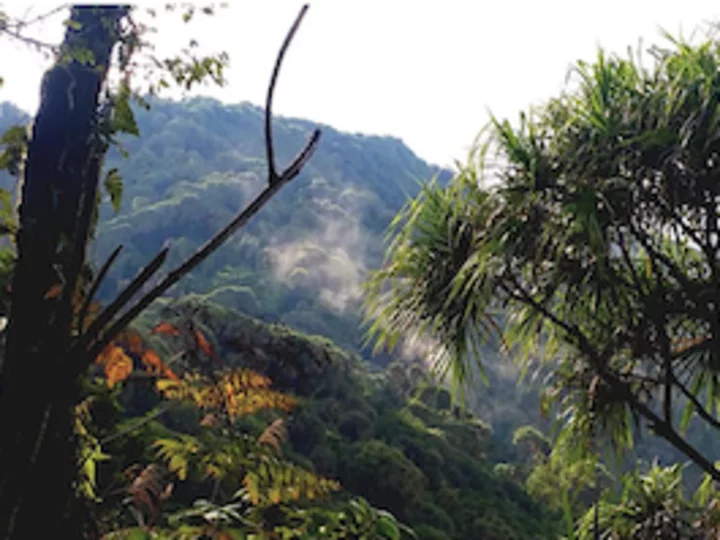 Sulawesi: Jungle view Gunung Tatawiran