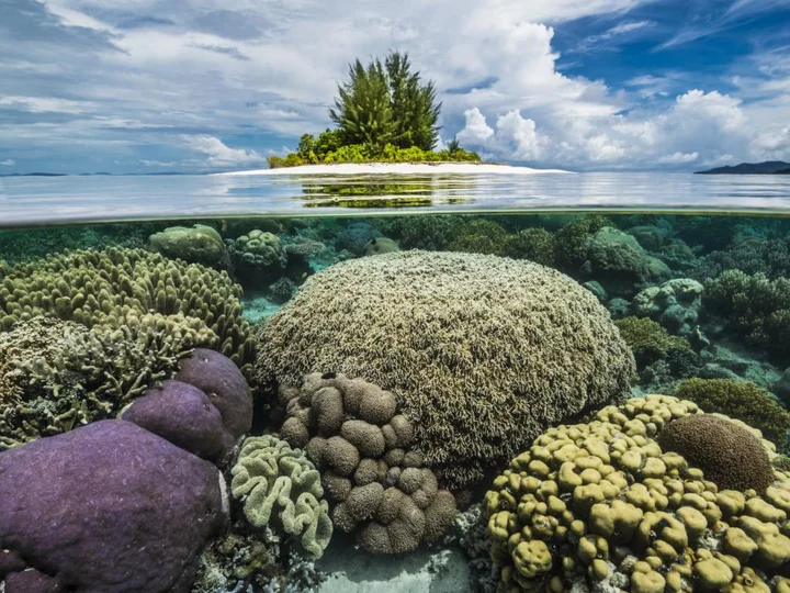 Raja Ampat: Über- und Unterwasser-Aussicht
