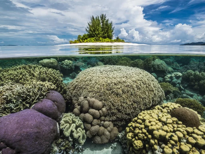  Raja Ampat: Over- and Underwater Views