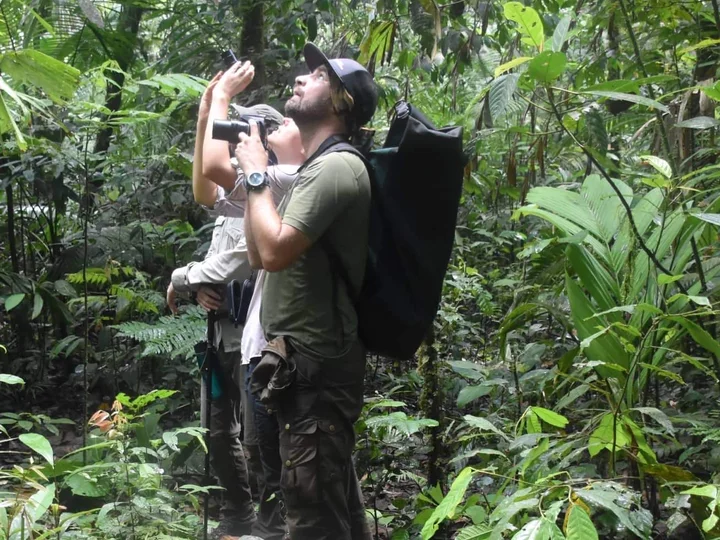 EAST OF WALLACE TOURS: Vogelbeobachtung in Action
