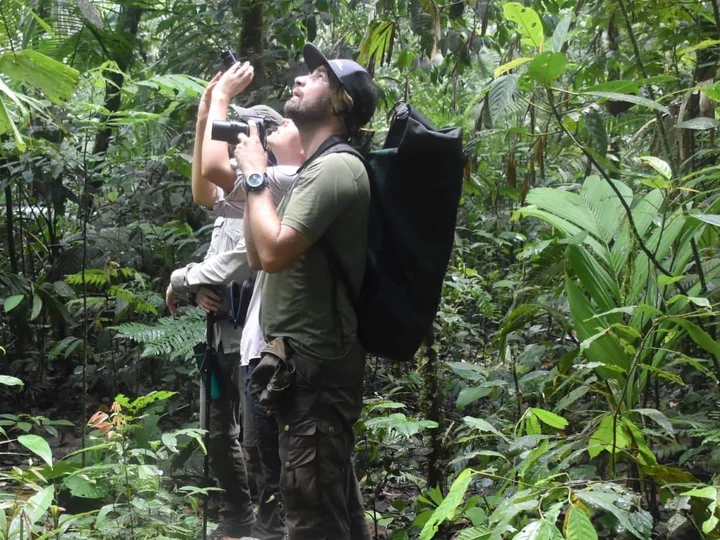 EAST OF WALLACE TOURS: Birding in action