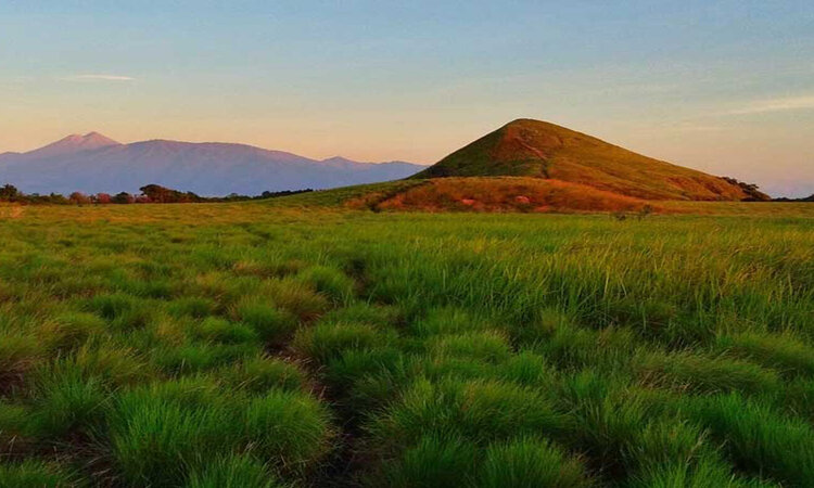 Sumbawa, Indonesien - Kenawa Graslandschaft 