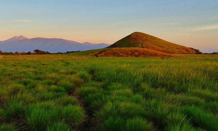 Sumbawa, Indonesia: Kenawa grass landscape