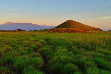 Sumbawa, Indonesia: Kenawa grass landscape