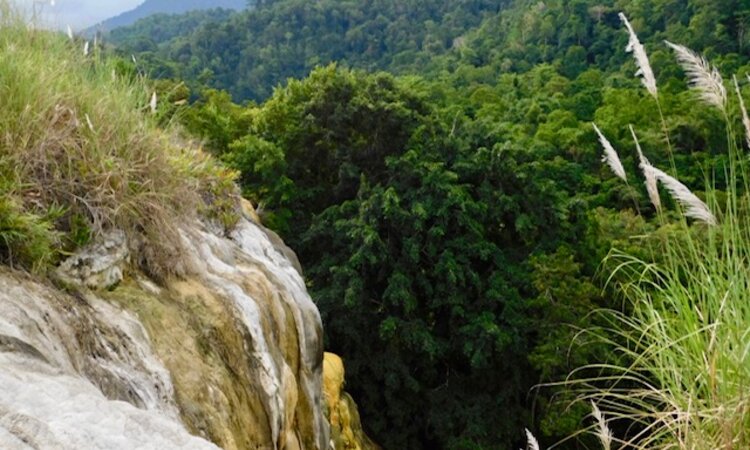Indonesien, Sulawesi: Hungayono Forest im Bogani Nani Wartabone Nationalpark