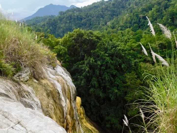 Indonesia, Sulawesi: Hungayono forest in Bogani Nani Wartabone National Park
