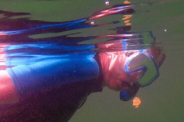 Jellyfish Lake in Indonesia East of the Wallace Line