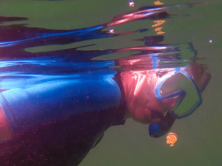 Jellyfish Lake in Indonesia East of the Wallace Line