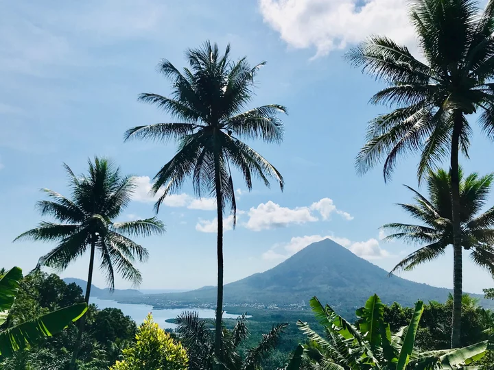Molukken, Halmahera: Ausblick auf Gunung Gamkonora von Palmenhain