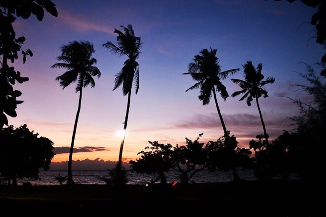 Moluccan island of Morotai: palm trees in the sunset
