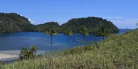 Ost-Indonesien: Inselausblick mit vier Palmen