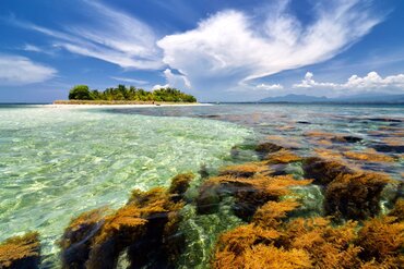 Indonesian Island of Sumbawa: View to Coconut Island