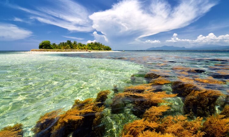 Indonesian Island of Sumbawa: View to Coconut Island