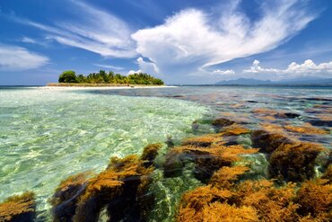 Indonesische Insel Sumbawa: Ausblick auf Coconut Island 