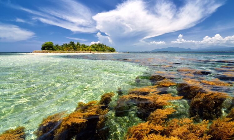 Indonesische Insel Sumbawa: Ausblick auf Coconut Island 