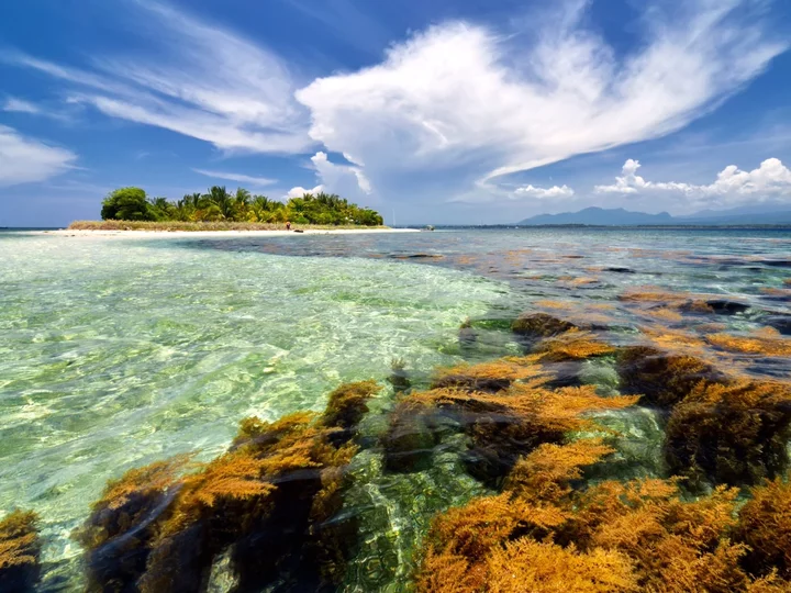 Indonesian Island of Sumbawa: View to Coconut Island