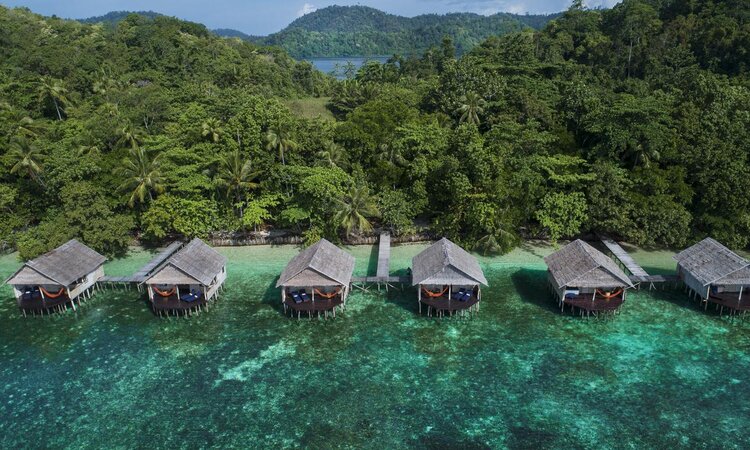 Papua Paradise Eco Resort: Superior Bungalows with Jungle in the Background
