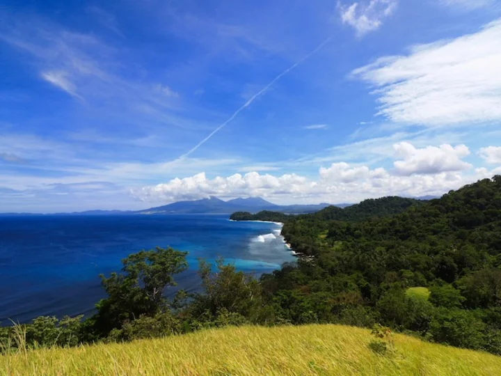 Sulawesi: Ausblick auf das Pulisan Jungle Beach Resort 