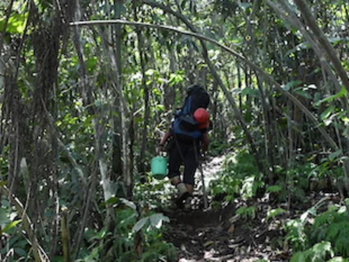 Halmahera, Indonesien: Dschungelpfad zum Ibu Vulkan