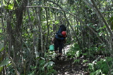Halmahera, Indonesien: Dschungelpfad zum Ibu Vulkan