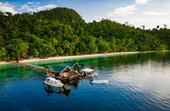 Indonesien, Raja Ampat Biodiversity Nature Resort: Jetty, beach & palm trees
