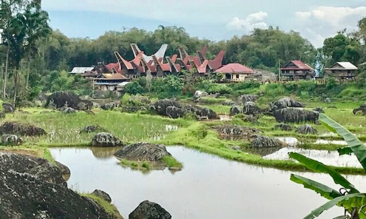 Sulawesi pittoreskes Toraja Dorf