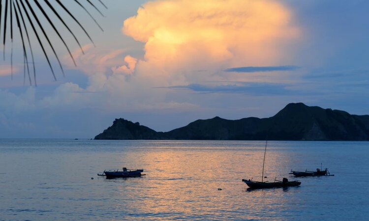 Tompotika Dive Lodge, Sulawesi: Sea view with boats