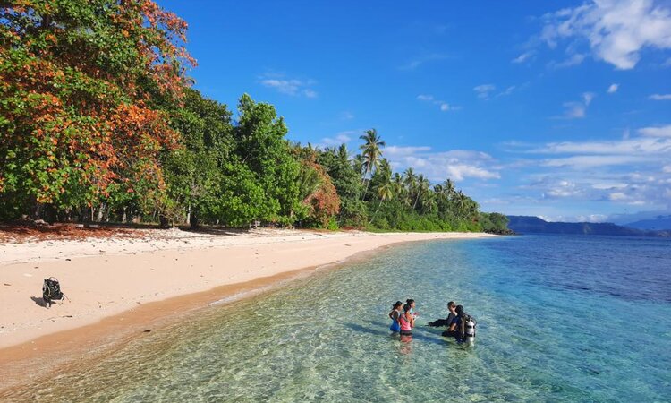 Coral Eye Resort Bangka: Shore Dive