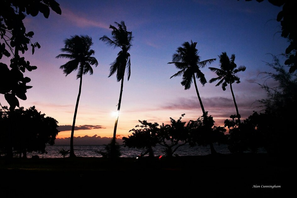Moluccas Spice Island Morotai: Palm trees in the sunset