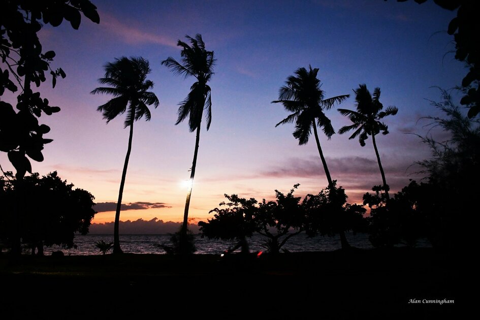 Molukken Gewürzinsel Morotai: Palmen im Sonnenuntergang