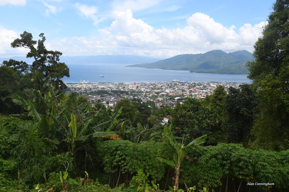 Molukken Gewürzinsel Ternate: Ausblick vom Gunung Gamalama