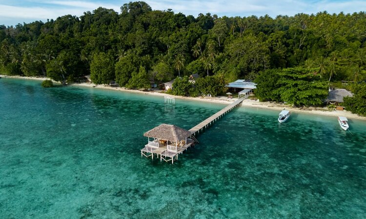 Reconnect Resort: Pier with Hammock and Steps into House Reef