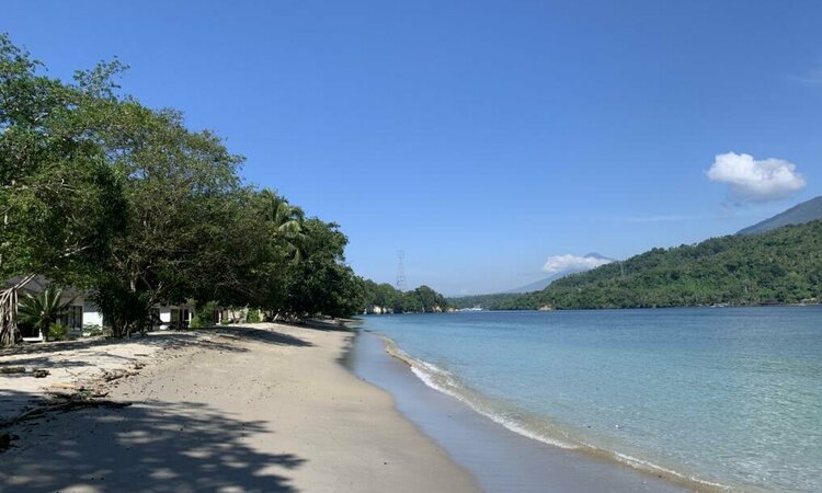 Sulawesi: White Sands Beach Resort Lembeh - Resort Strand