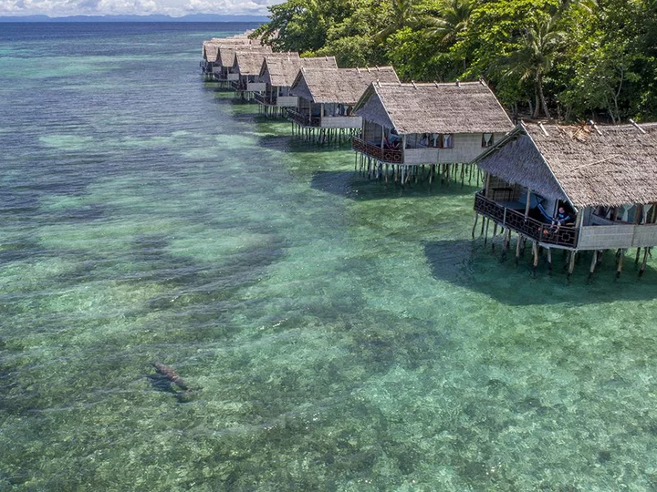 Papua Paradise Eco Resort: Dugong near Deluxe Bungalow in Raja Ampat