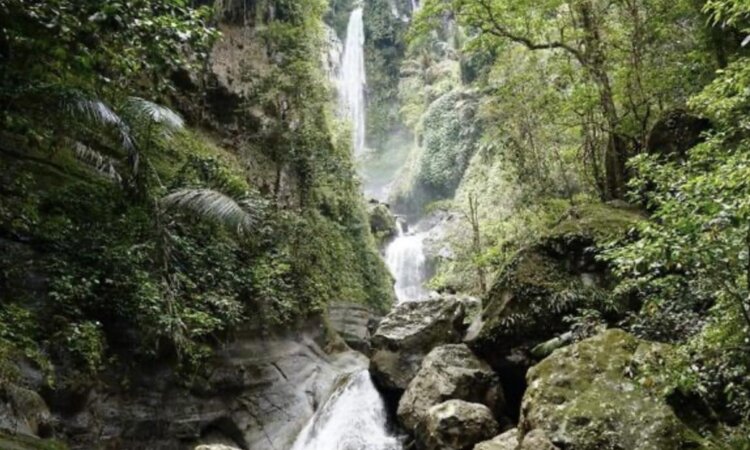 Lesser Sunda Islands, Indonesia: Waterfall in the Jungle of Sumbawa
