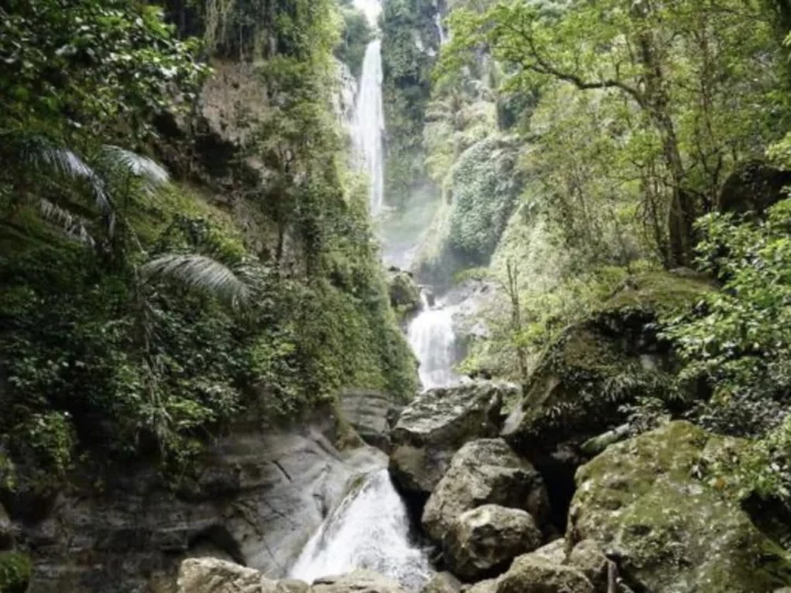 Lesser Sunda Islands, Indonesia: Waterfall in the Jungle of Sumbawa