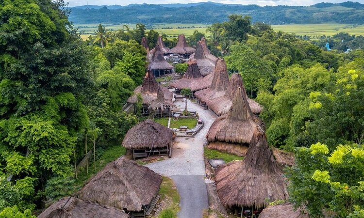 Lesser Sunda Islands, Sumba, Indonesia: Traditional village with typical high-roof houses