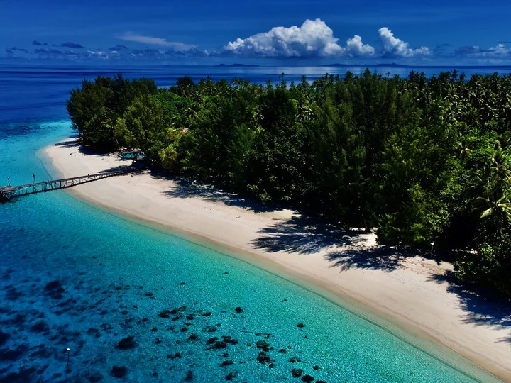 Raja Ampat: Agusta Eco Resort jetty, beach & palm trees