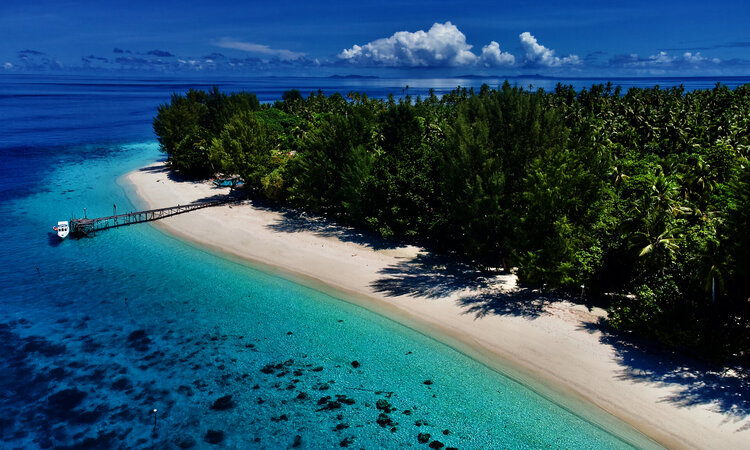  Raja Ampat: Agusta Eco Resort jetty, beach & palm trees
