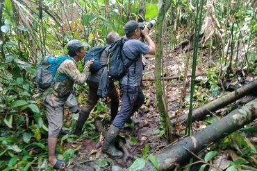 EAST OF WALLACE TOURS: Vogelbeobachtung in Action