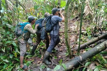 EAST OF WALLACE TOURS: Birdwatching in action