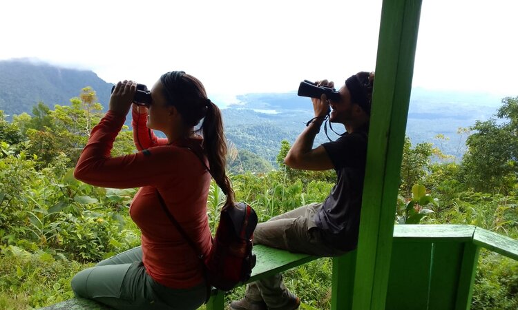 Indonesien, Molukken: Manusela National Park, Vogelbeobachtung im Dorf Masihulan 
