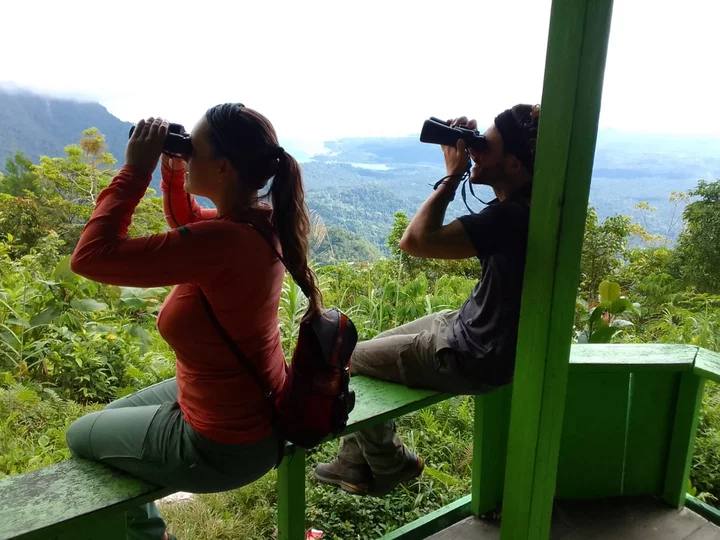 Indonesia, Moluccas: Manusela National Park, birdwatching in Masihulan village